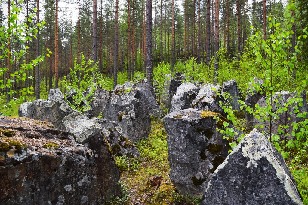 Änäkäisen panssarieste